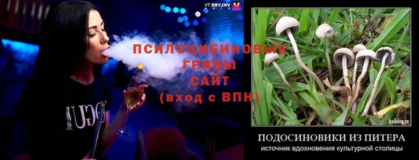 спиды Вязники