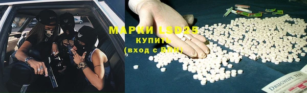сатива Вяземский