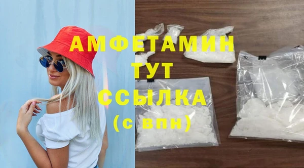 сатива Вяземский