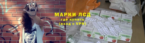сатива Вяземский