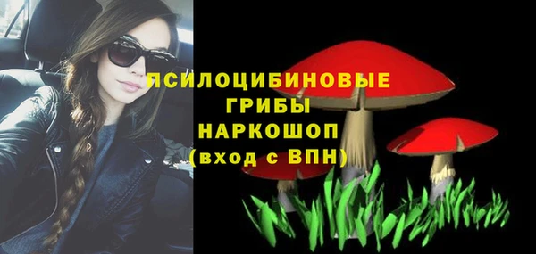 сатива Вяземский