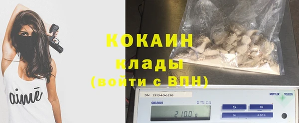 сатива Вяземский