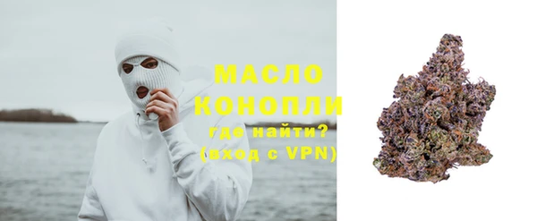 сатива Вяземский