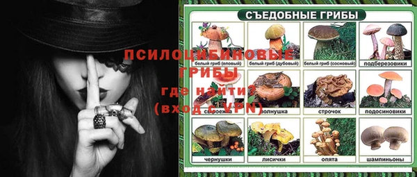 ECSTASY Вязьма