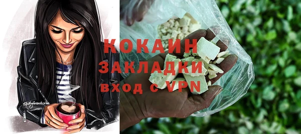 сатива Вяземский