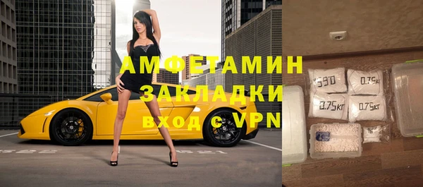 сатива Вяземский