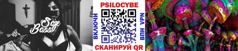 Галлюциногенные грибы Psilocybe  Отрадное 