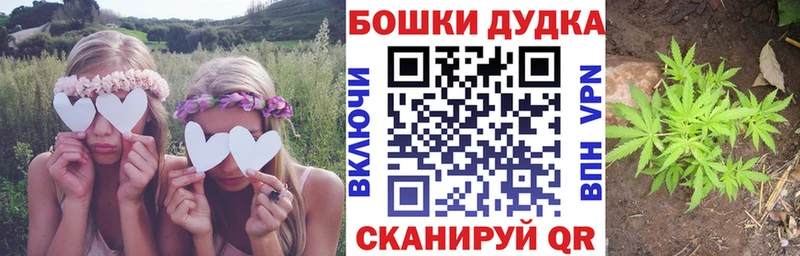 продажа наркотиков  Отрадное  Марихуана марихуана 